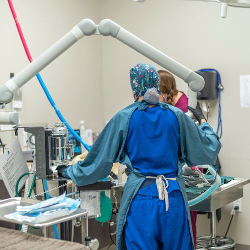 dental surgery