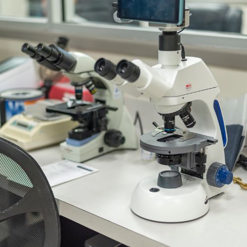 A microscope is positioned on a laboratory desk