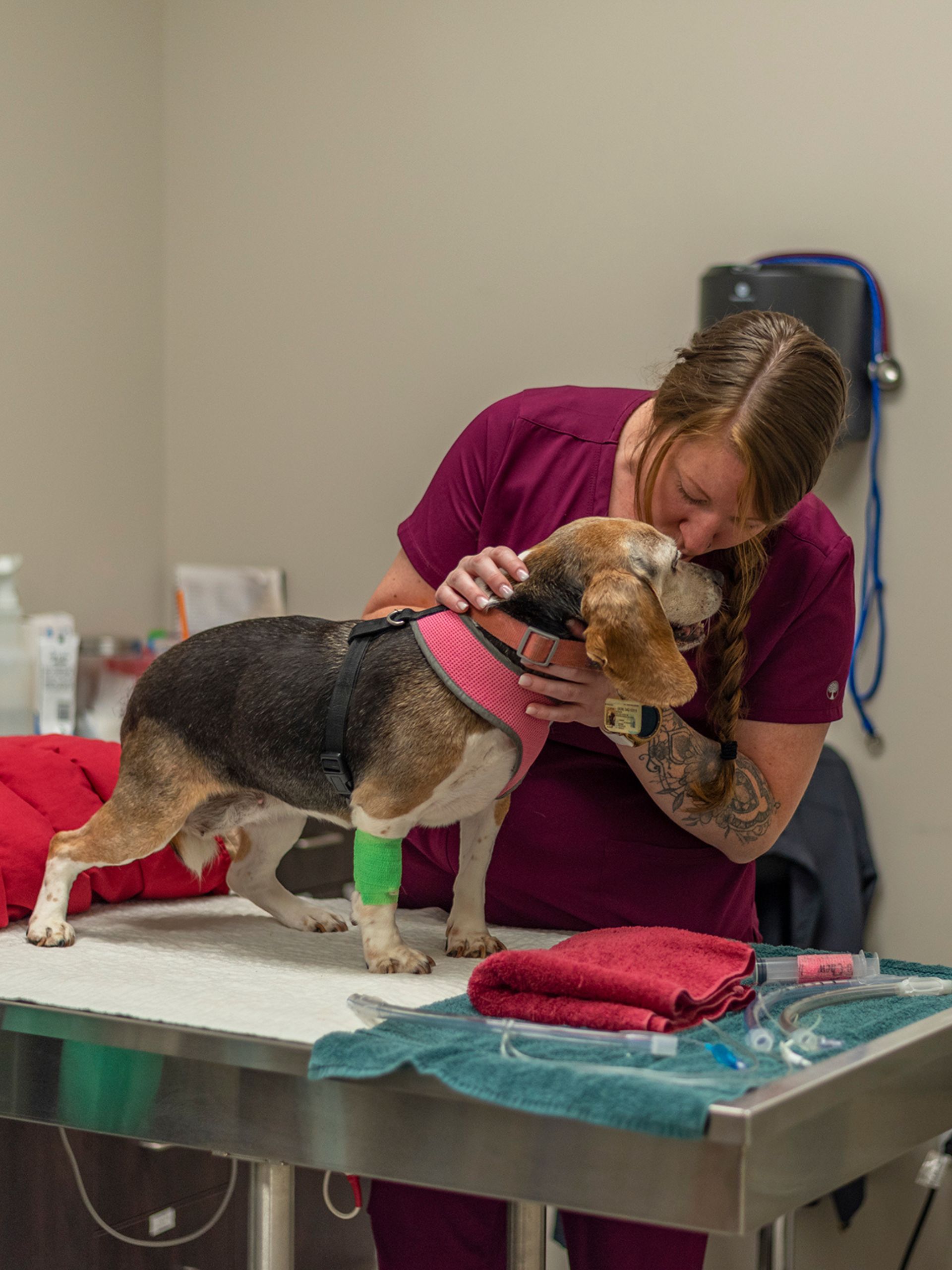 A woman in a lab coat gently pets a dog